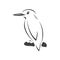 Vector of a kingfishers Black on white background. Bird Design. icon. logo. symbol. Illustrator. animal