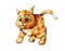 Vector kitten playing cartoon cute happy ginger cat smiling character