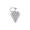 Vector label grapes icon. Farm fruit element.