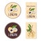 Vector labels set with longan fruit. Hand drawn tropical vietnamese fruit illustration.