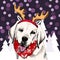 Vector labrador retriever dog wears raindeer anklers tiara and bandana. on snowy trees and sparklers. Sketched