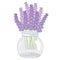 Vector Lavender Bouquet in Glass Jar. Vector Lavender