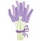 Vector Lavender Bouquet. Vector Lavender