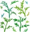 Vector leafs silhouettes pattern. Different tints of green.