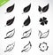 Vector leaves icon set