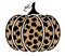 Vector Leopard Pumpkin Isolated on White Background.