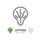 Vector Lettuce icon Vegetables logo. Thin line art design