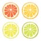 Vector lime, lemon, grapefruit and orange slices
