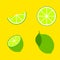 Vector lime slice green illustration lemon