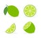 Vector lime slice green illustration lemon isolated half fruit lime. Fresh green cut citrus icon