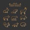 Vector line forest animals icon set.