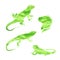 Vector lizard iguana watercolor set vector