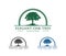 Vector logo design illustration of oak tree logo, wise and strong, house property firm, green home stay resort