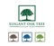 Vector logo design illustration of oak tree logo, wise and strong, house property firm, green home stay resort