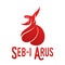 Vector logo illustration. Turkish, Sufi and Dervish Dance. Seb i Arus