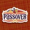 Vector logo for Passover holiday