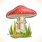 Vector logo red Toadstool Mushroom