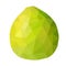 Vector low poly green pomelo