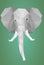 Vector - Low polygonal elephant head