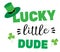 Vector Lucky Dude St. Patrick`s Day Background.