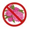 Vector lush bush with peonies in the forbidden sign. Allergy danger. Icon prohibition