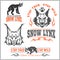 Vector lynx head, face for retro logos, emblems, badges, labels template and t-shirt vintage design element.