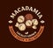 Vector macadamia colorful logo