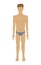 Vector male body in underwear.