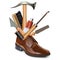 Vector Male Brown Shoe with Shoemaker Tools