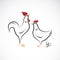 Vector of male and female chickens design on white background.  Animal farm. Rooster and Hen. Easy editable layered vector