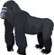 Vector male gorilla