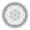Vector mandala sacred geometry illustration