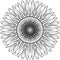 Vector Mandala Sunflower. Black on white background decorative element. Circular geometric abstract line art