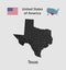 Vector map state Texas, flag and map USA