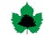 Vector maple tree silhouette with green maple leaf. Ecology Organic Farm Logo design, biological concept nature preservation trust