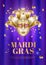 Vector mardi gras venetian mask brazil carnival