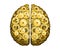 Vector Mechanical Human Brain. Cerebral Hemispheres, Convolutions Of The Mind Brain. Gold Metal Cog Wheels And Gears.