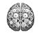 Vector Mechanical Human Brain. Silver Metal Cog Wheels And Gears. Cerebral Hemispheres, Convolutions Of The Mind Brain.