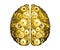 Vector Mechanical Human Brain On White Background. Cerebral Hemispheres, Convolutions Of The Mind Brain. Gold Cog Wheel And Gears