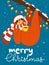 Vector Merry Christmas card with cute funny sloth with coffee cup