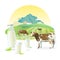 Vector milk lable illustration with cows graze on alpine meadows, on mountain landscape background.