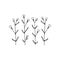 Vector minimalistic floral icons. Hand drawn branches with leaves.