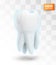 vector molar tooth. beauty and health. tooth cleaning and personal care