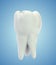 vector molar tooth. beauty and health. tooth cleaning and personal care