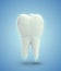 vector molar tooth. beauty and health. tooth cleaning and personal care