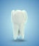 vector molar tooth. beauty and health. tooth cleaning and personal care