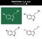 Vector molecule of serotonin