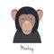 Vector monkey head isolated. Flat style, cartoon object