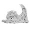 Vector monochrome hand drawn zentagle illustration of cat.