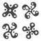 Vector monochrome icon set with Ancient Italian sign Camunian rose